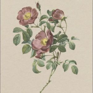 Meet your Posher, Ava